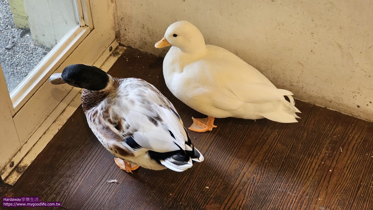 羅東寵物友善餐廳