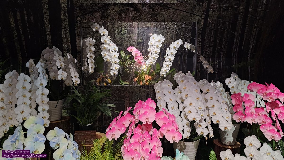 2026嘉義台灣燈會TECH WORLD館蘭花之道