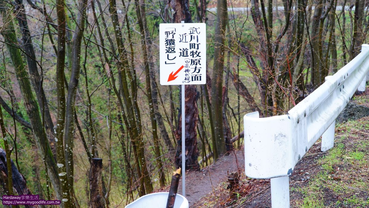 山梨山高神代櫻交通攻略