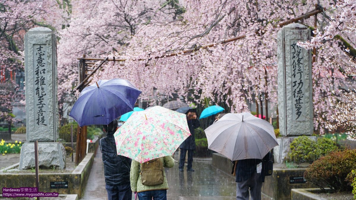 日本百大賞櫻名所