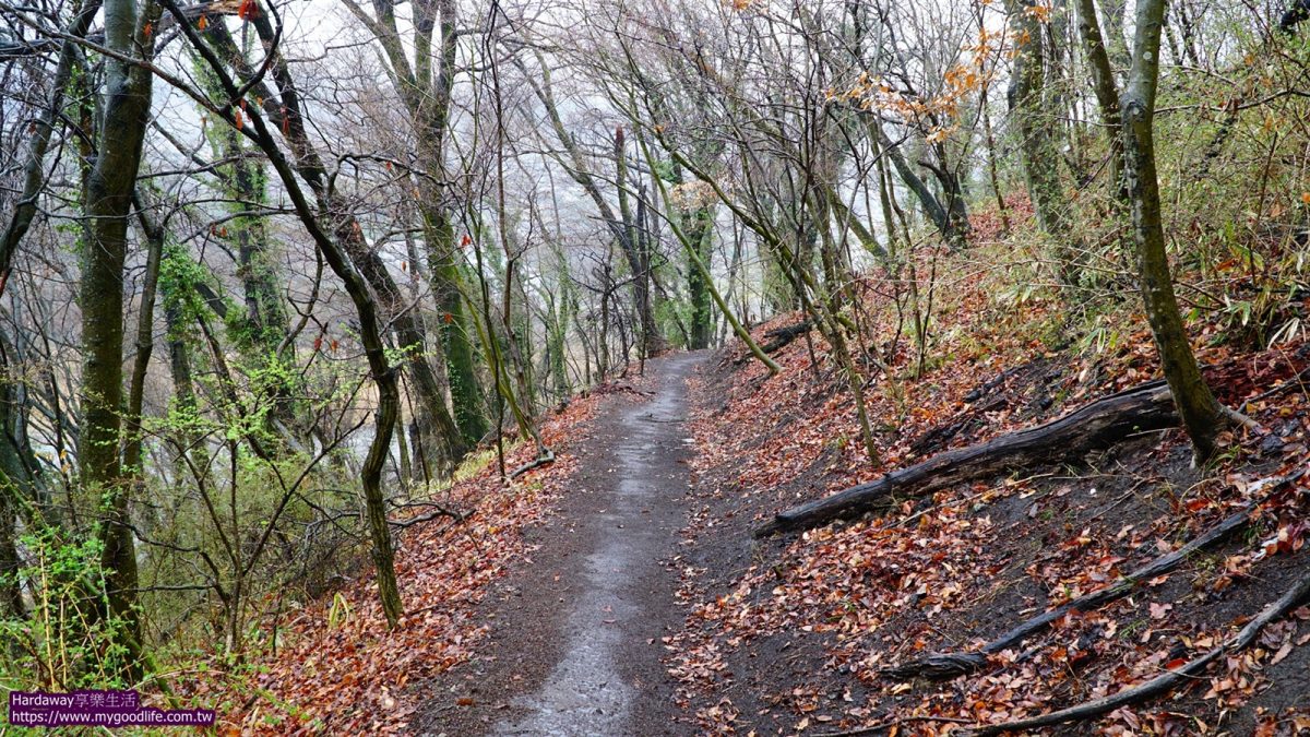 山梨山高神代櫻一日遊