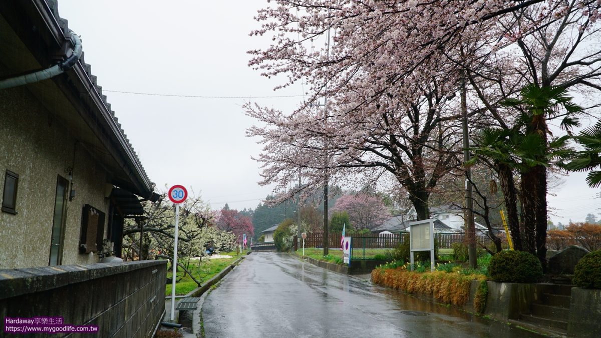 山梨縣北社市賞櫻