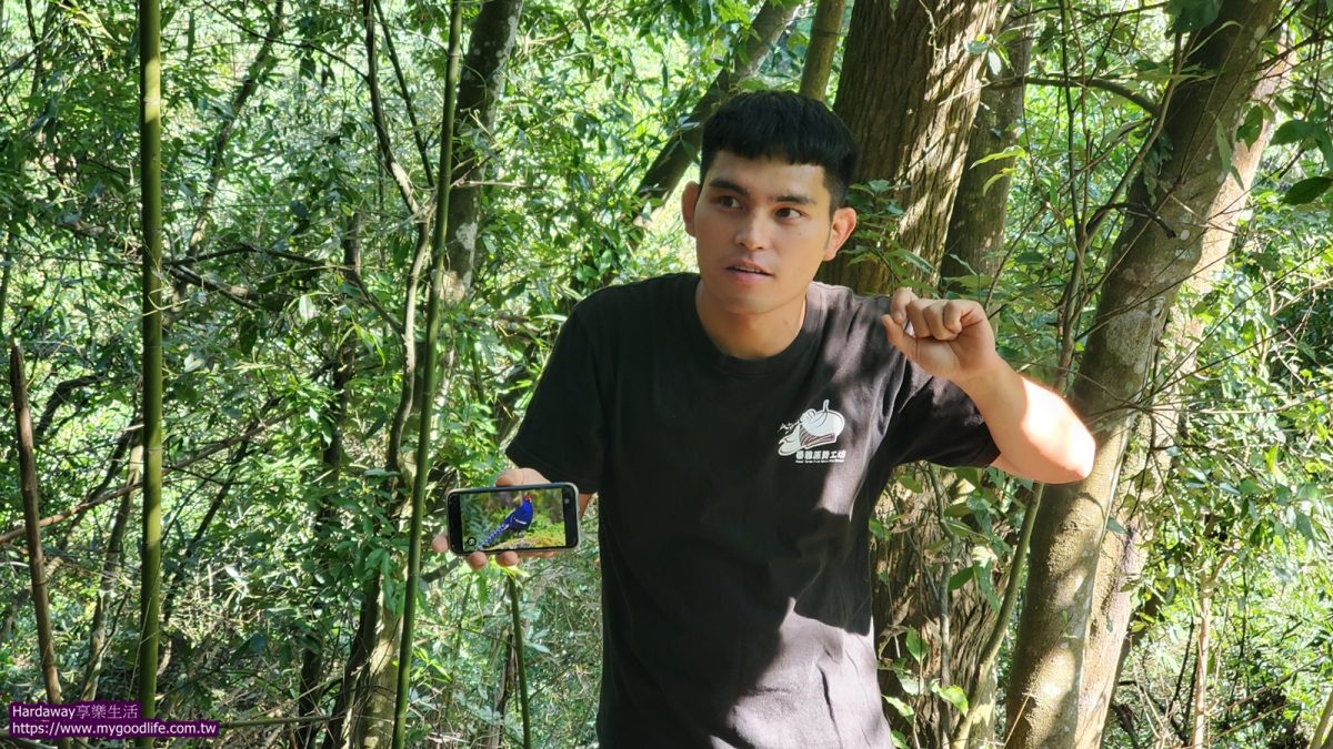 泰雅族獵人獵徑藍腹鷴步道