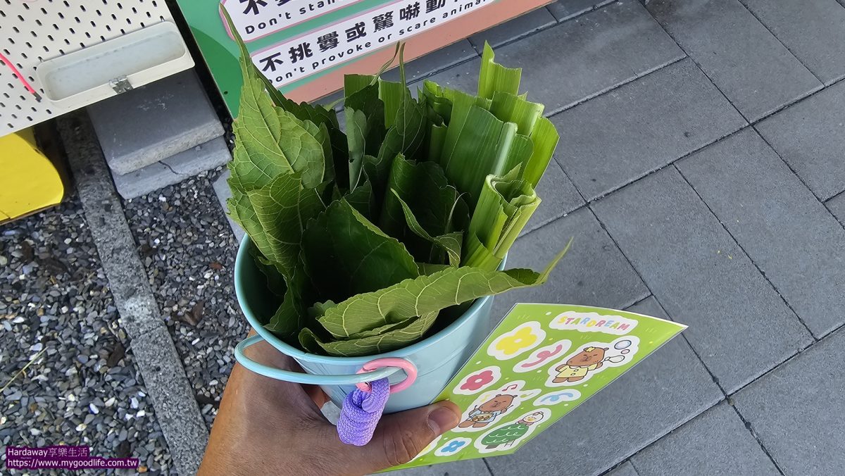星夢森林劇場繽紛牧草桶