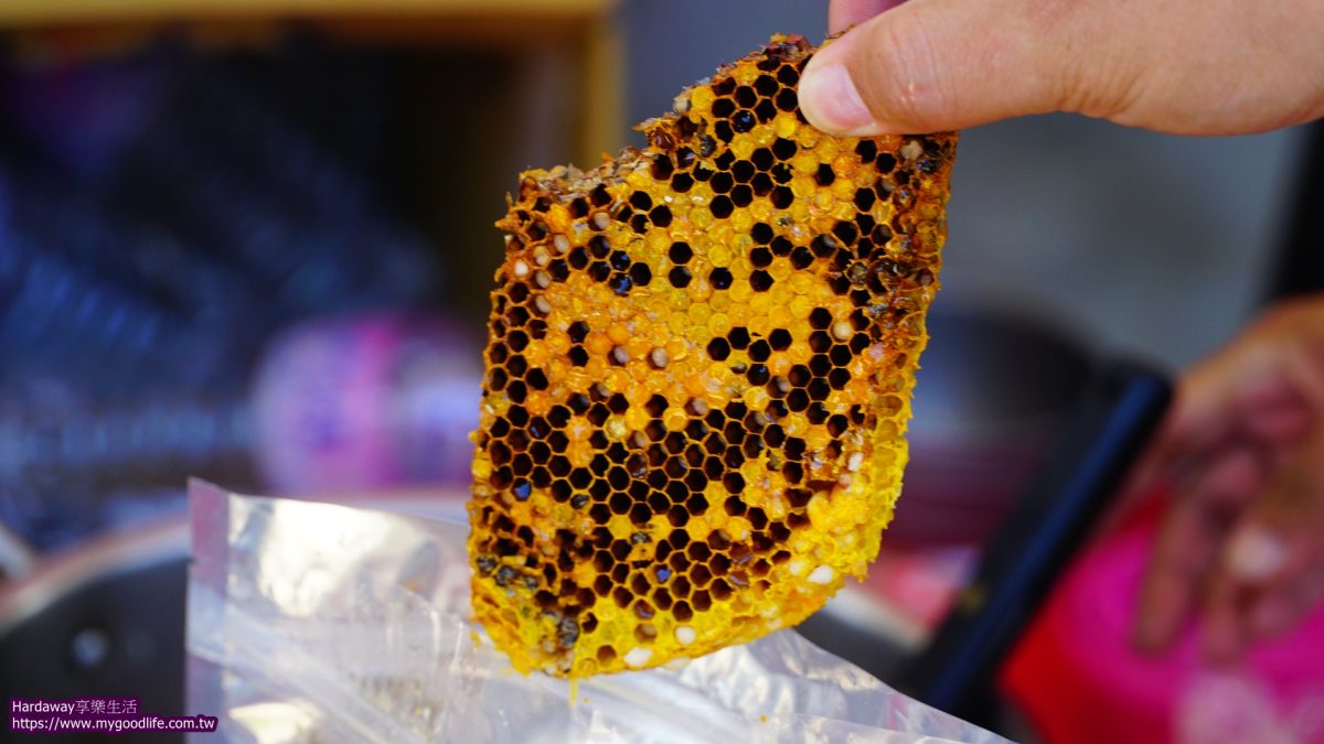野蜂蜂巢試吃